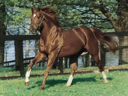 Secretariat